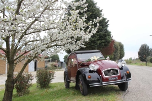 2Cavalli noleggio auto d'epoca