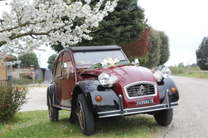 2Cavalli noleggio auto d'epoca