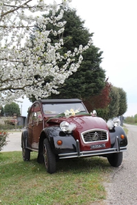 2Cavalli noleggio auto d'epoca