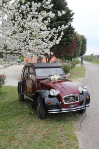 2Cavalli noleggio auto d'epoca