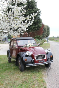 2Cavalli noleggio auto d'epoca