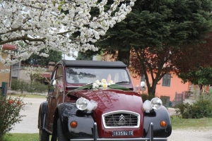 2Cavalli noleggio auto d'epoca