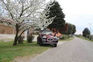 2Cavalli noleggio auto d'epoca