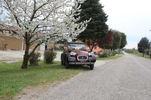 2Cavalli noleggio auto d'epoca