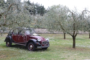 2Cavalli noleggio auto d'epoca