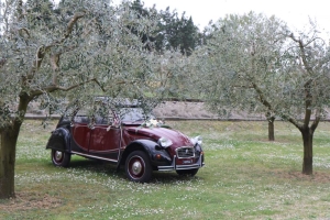 2Cavalli noleggio auto d'epoca