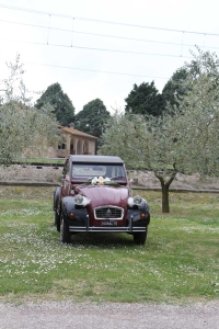 2Cavalli noleggio auto d'epoca